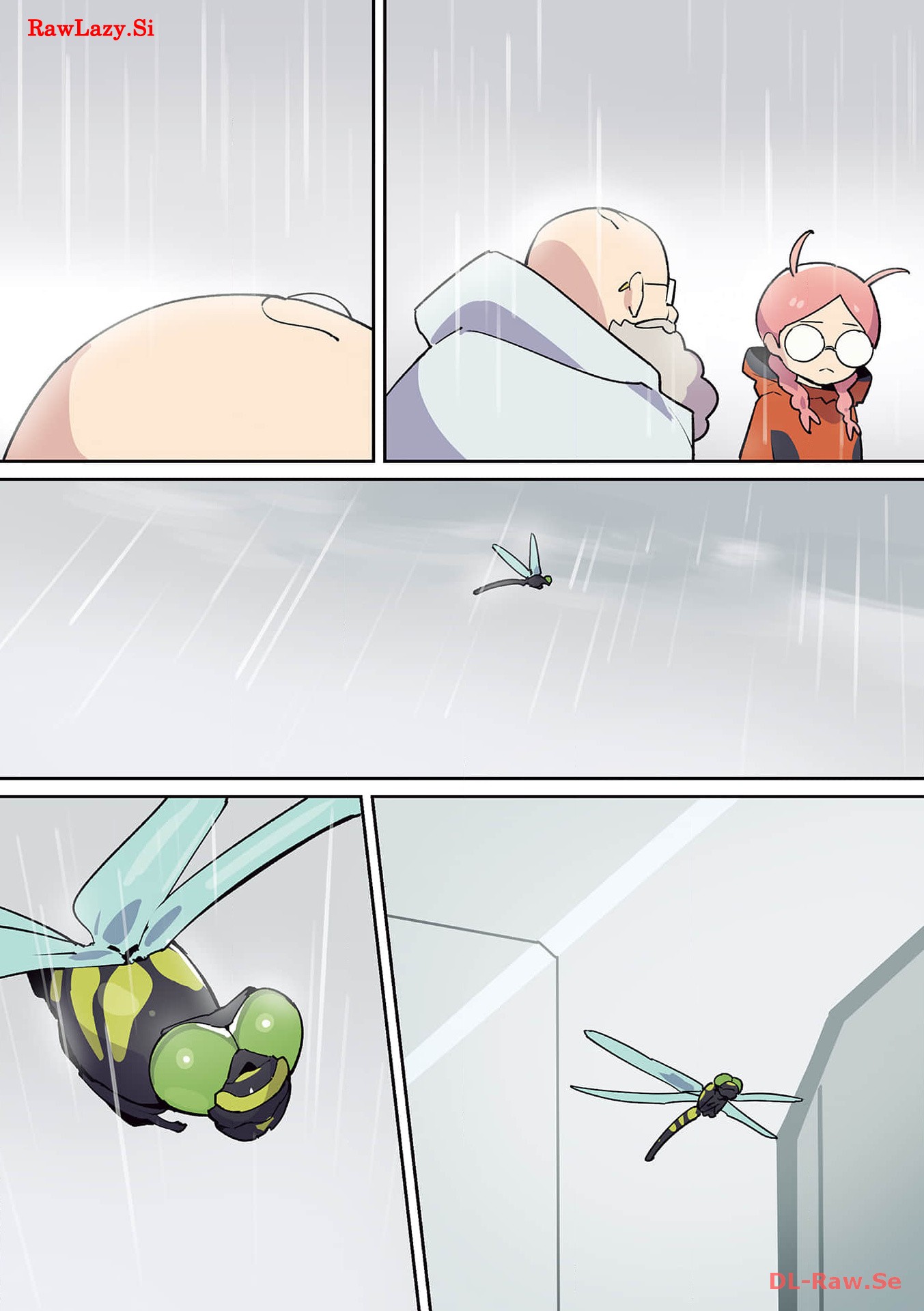 P53