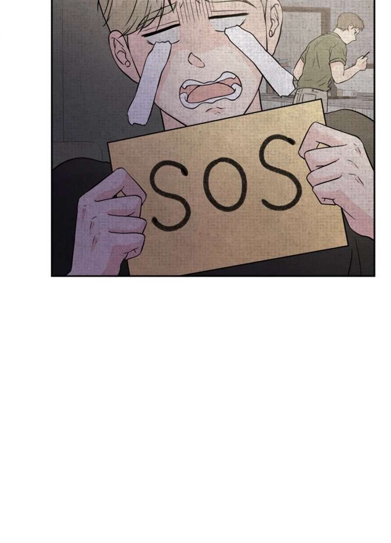 P65