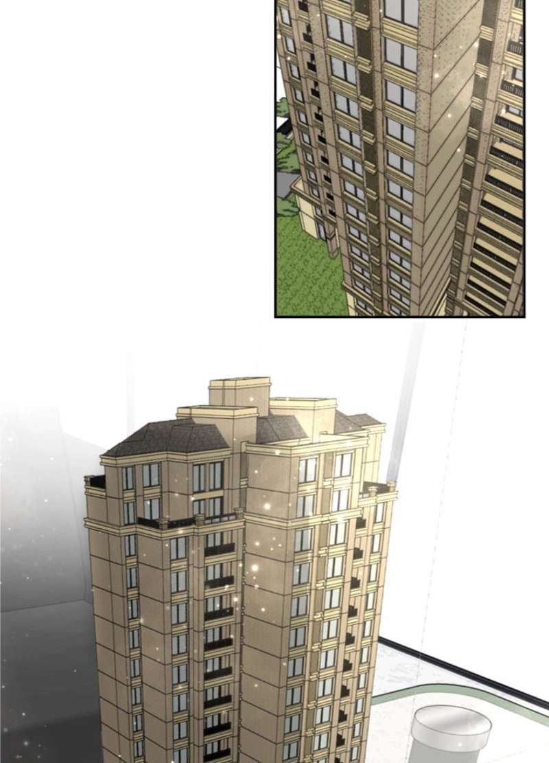 P63
