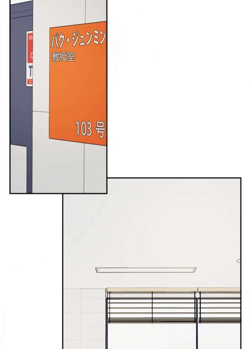 P53