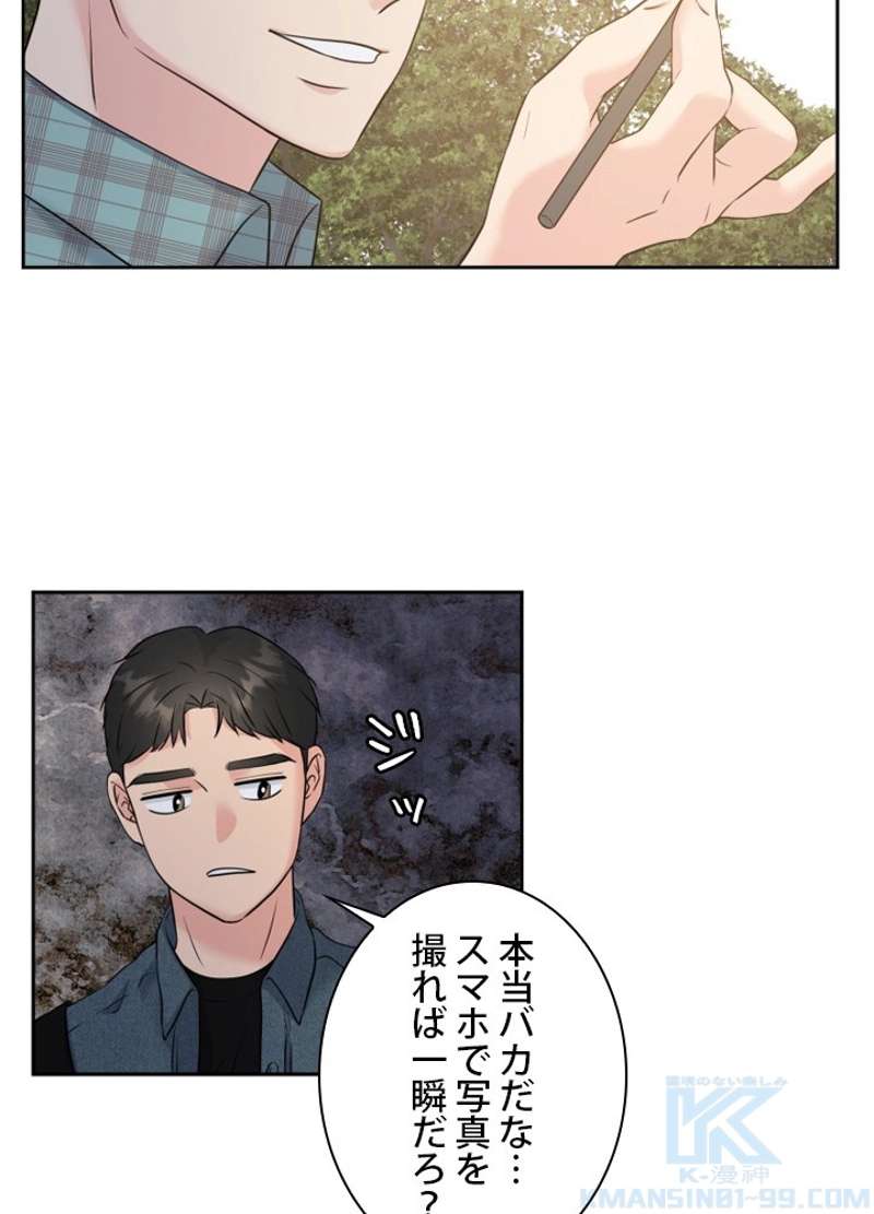 P61