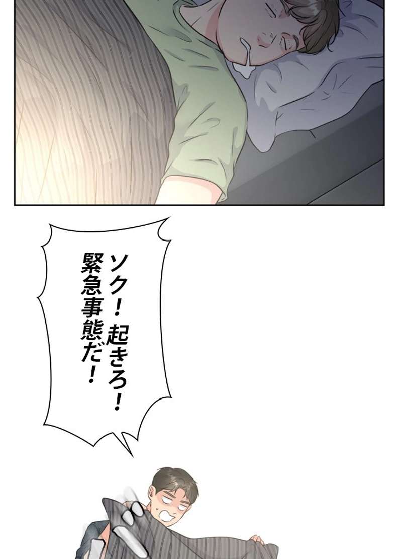 P53