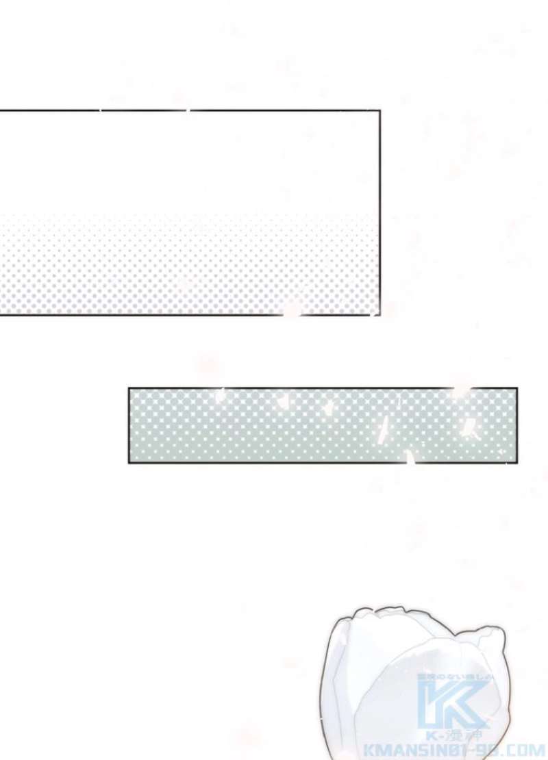 P61