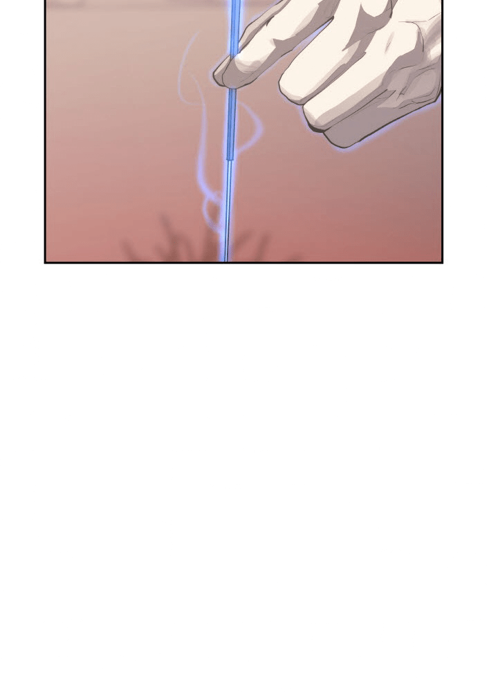 P53