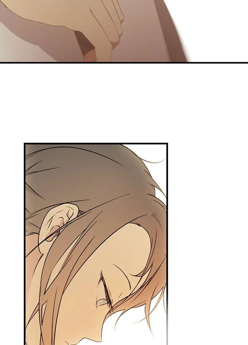 P61