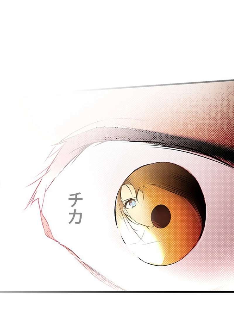 P58