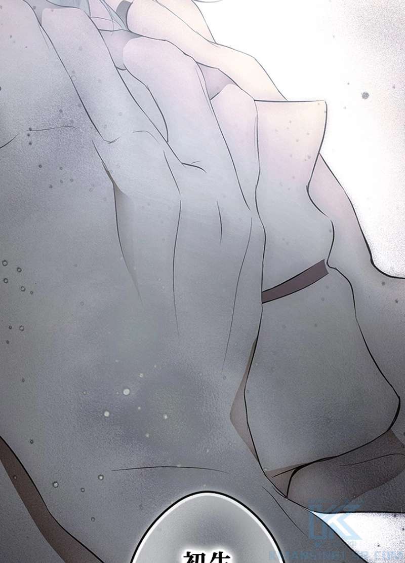P52