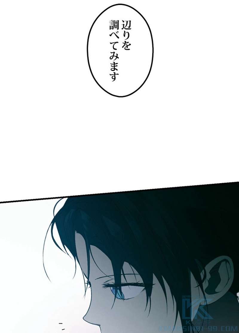 P53