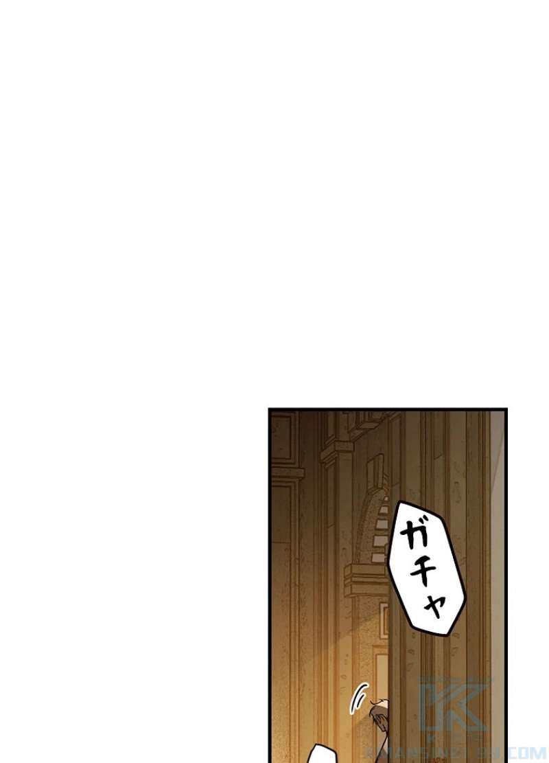 P41