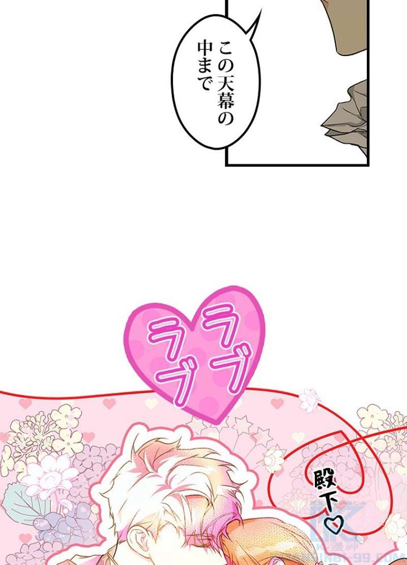 P53