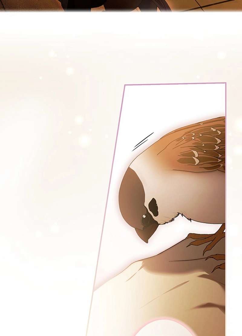 P83