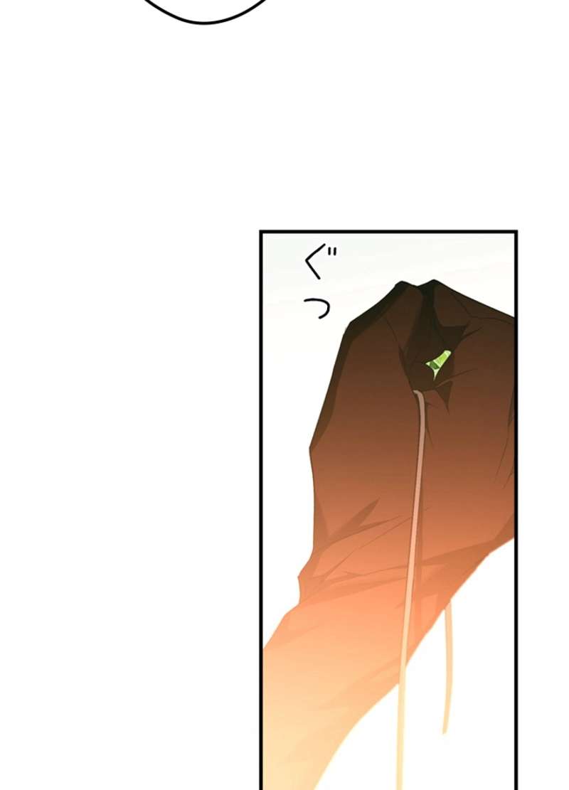 P61