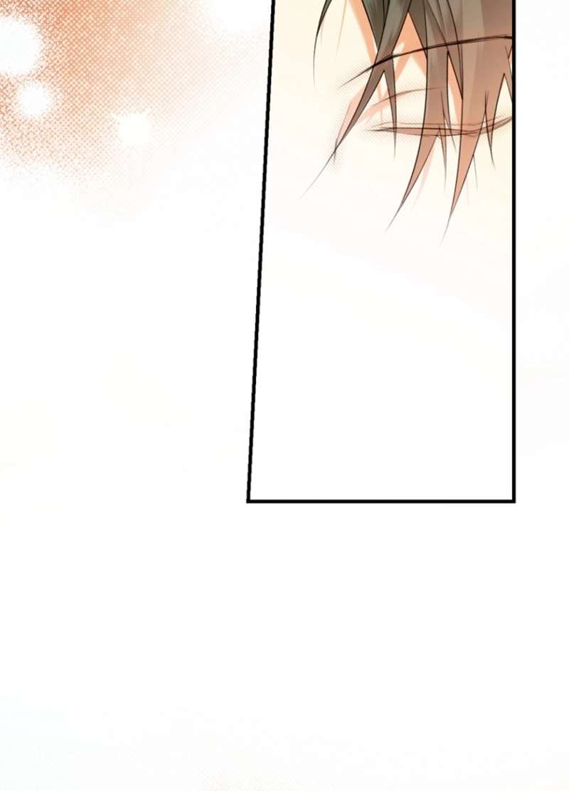 P66