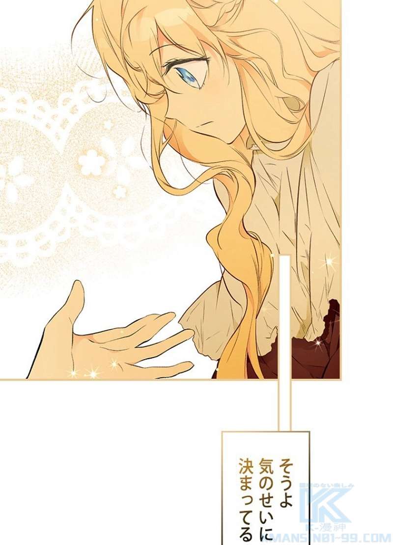 P61