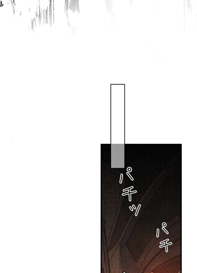 P46
