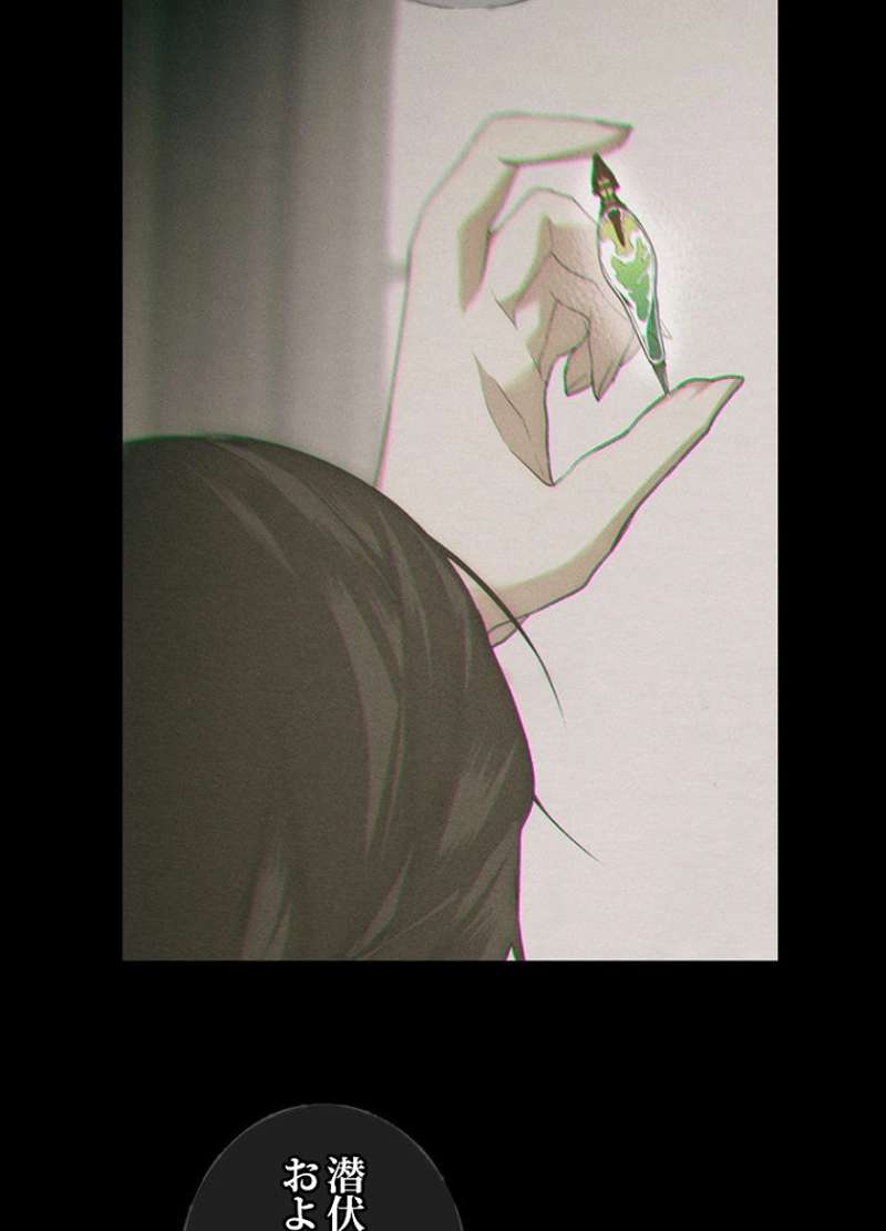 P55