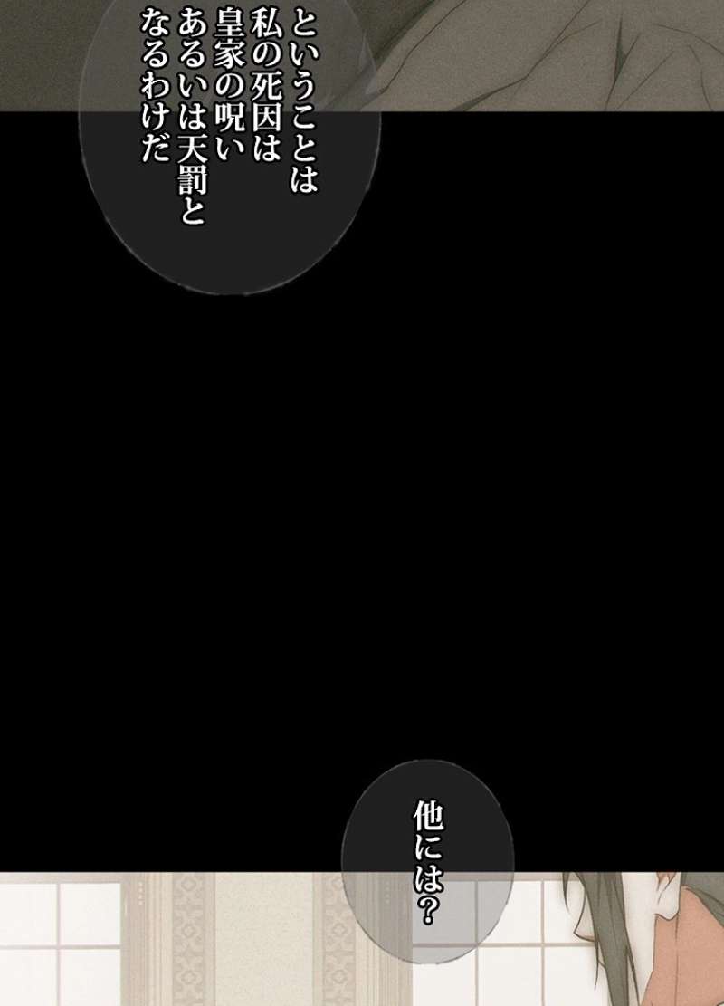 P58
