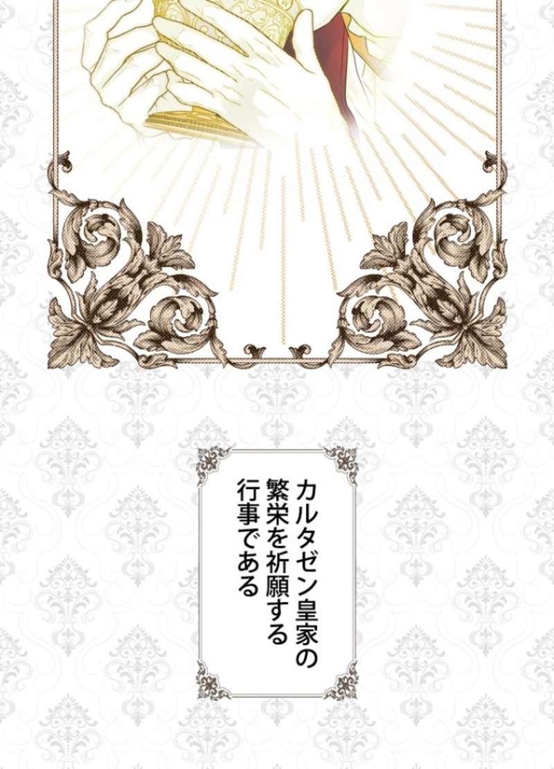 P63