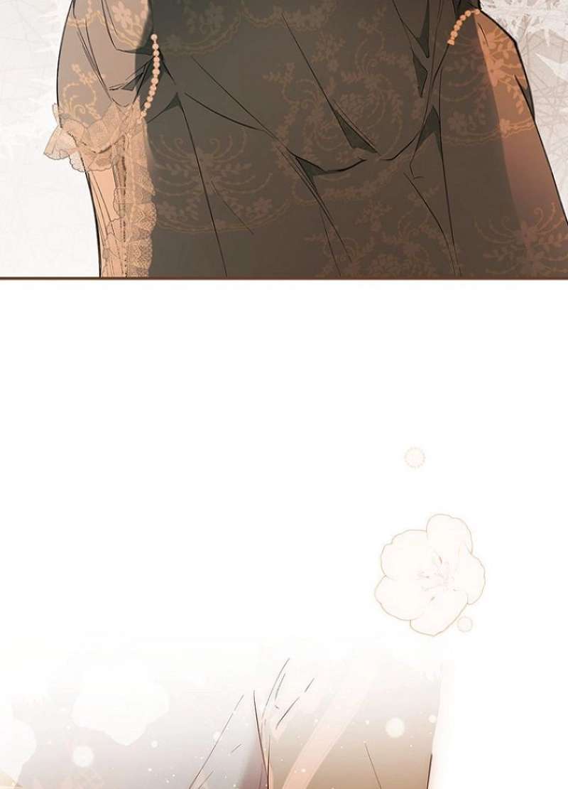 P66
