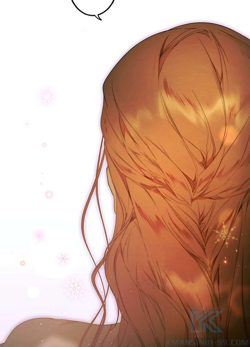 P58
