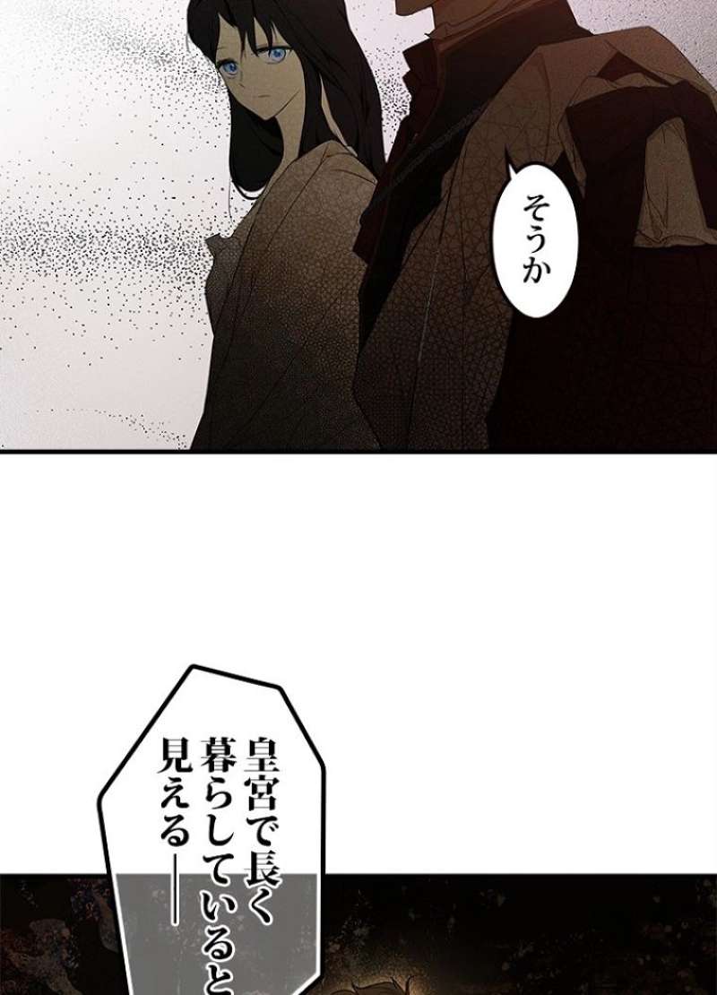 P61