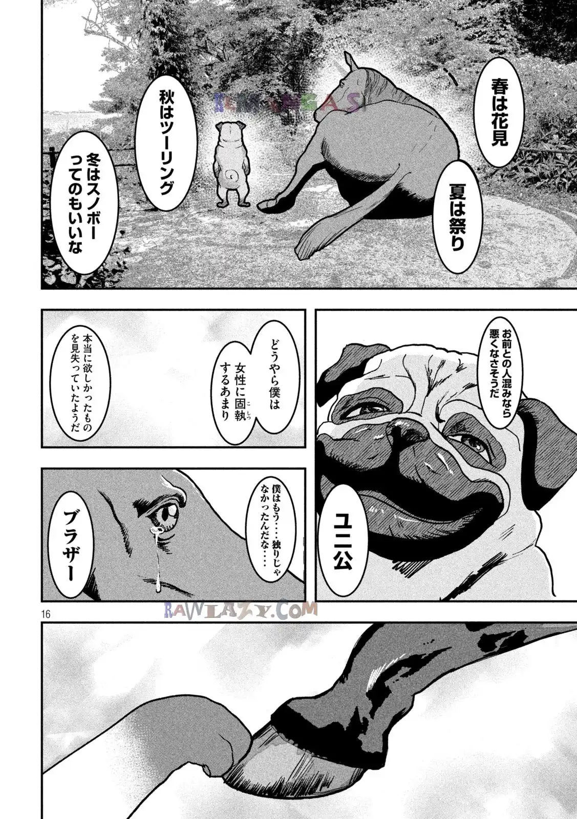 P16