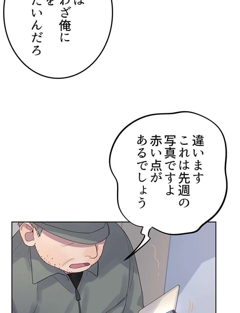 P44
