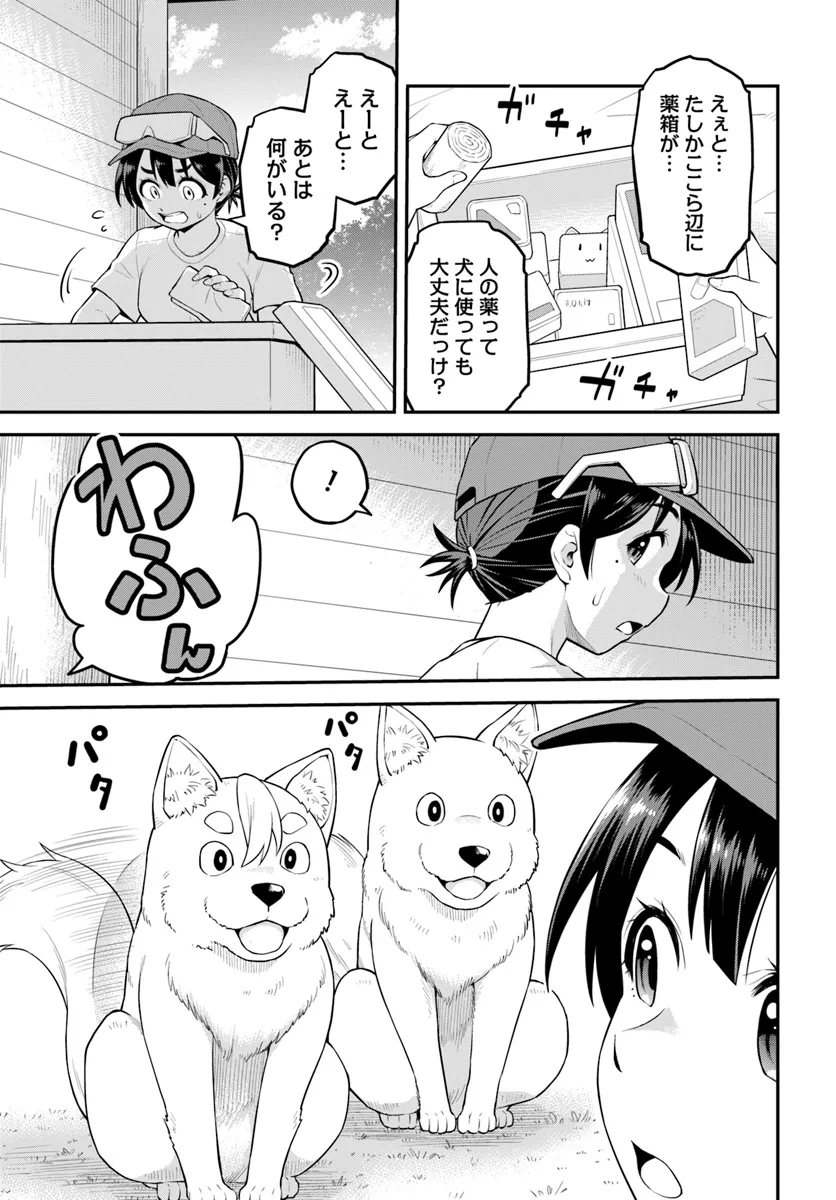 P11