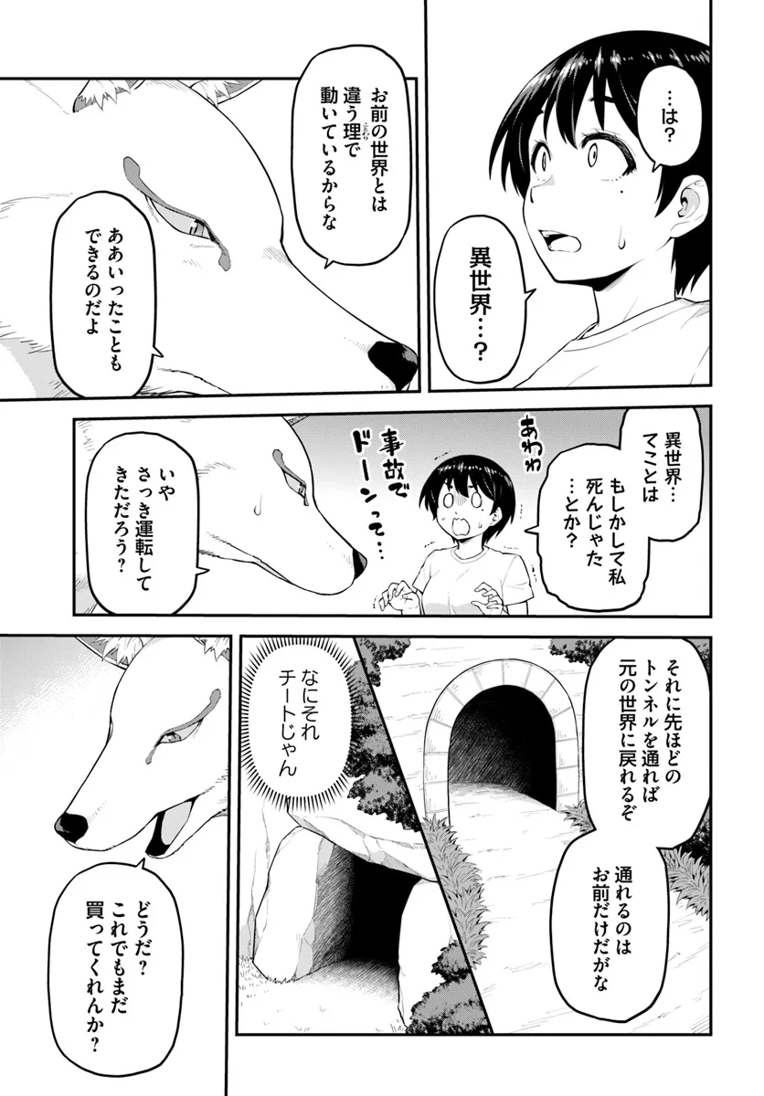 P48