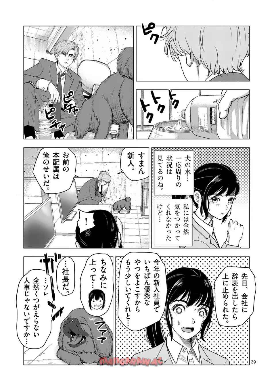 P39