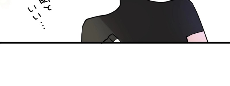 P333