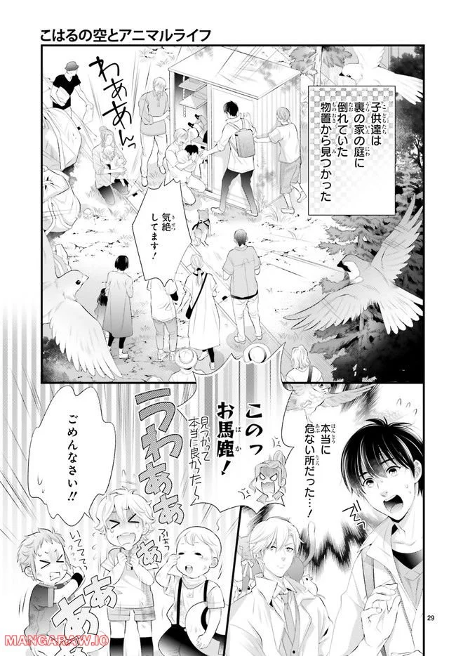 P29