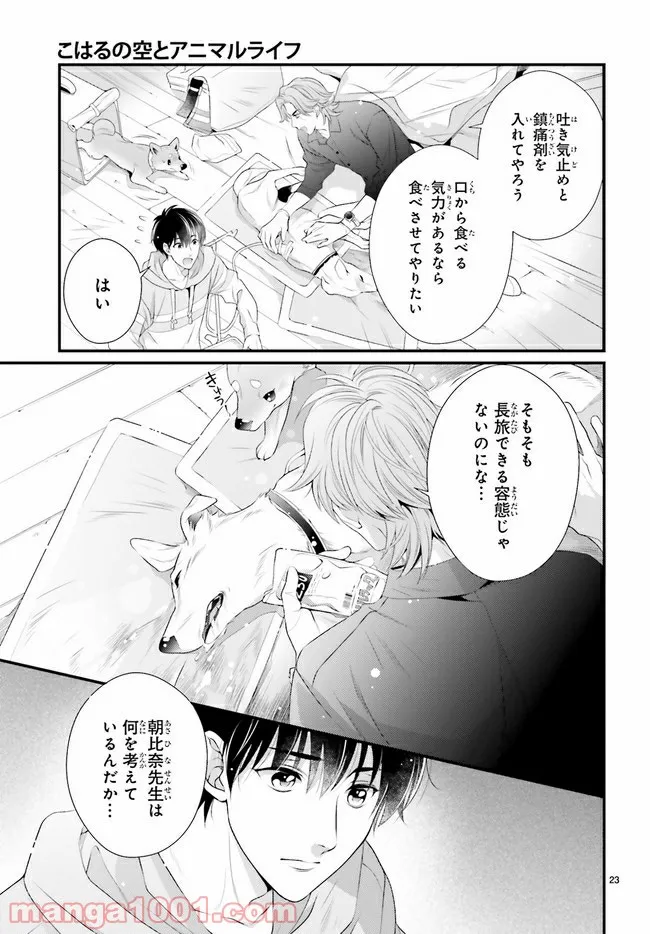 P23