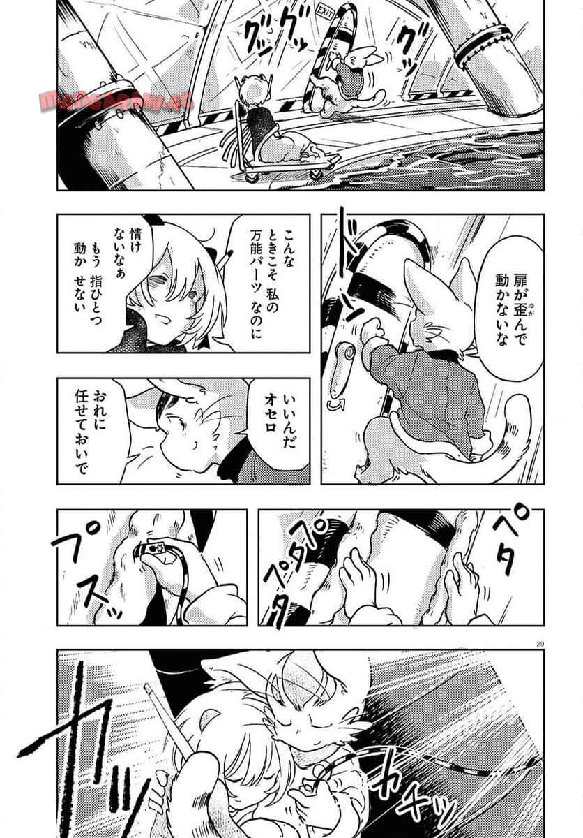 P29