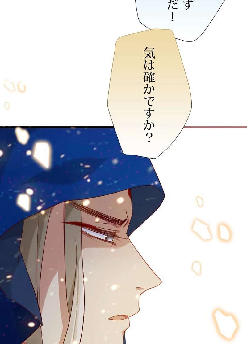 P63