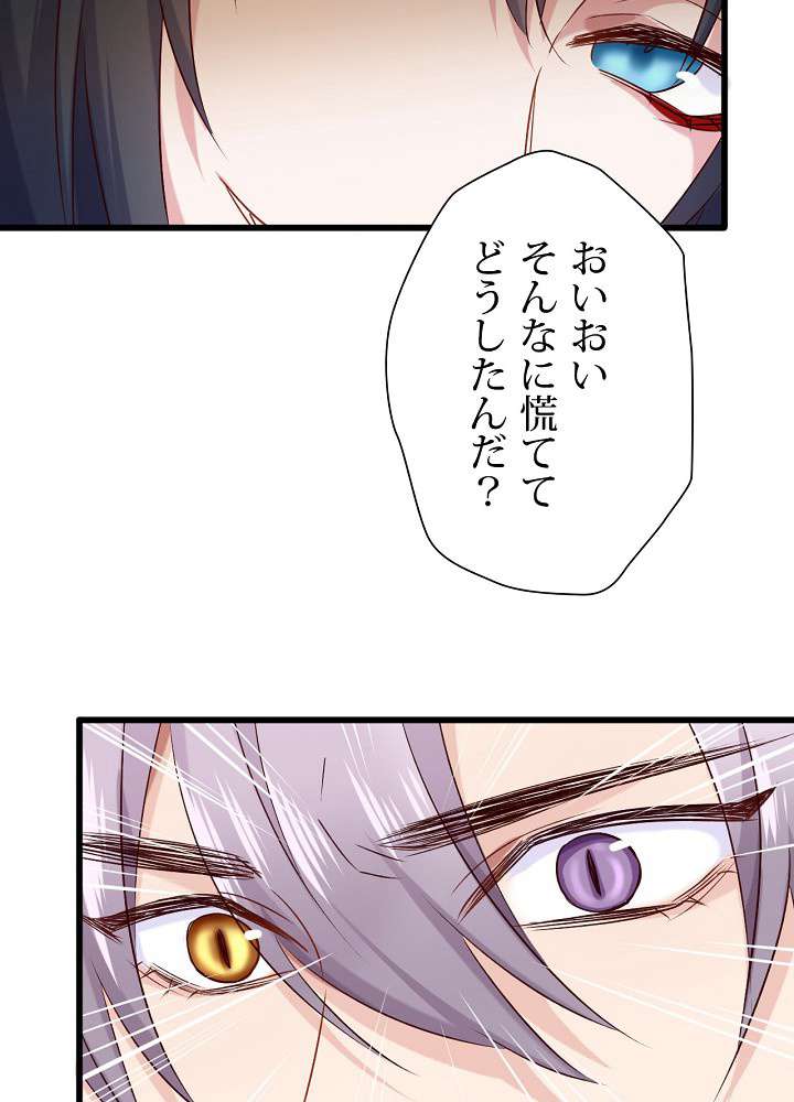 P41