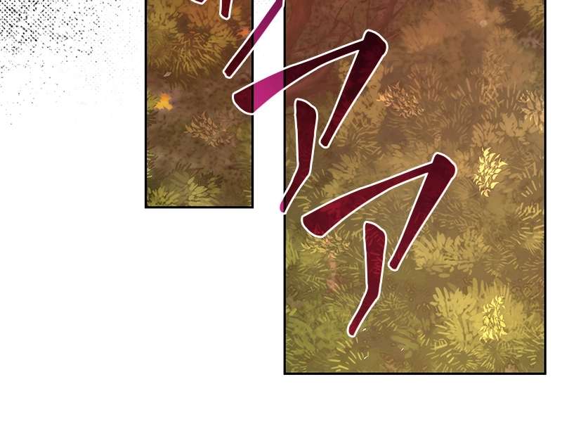 P44