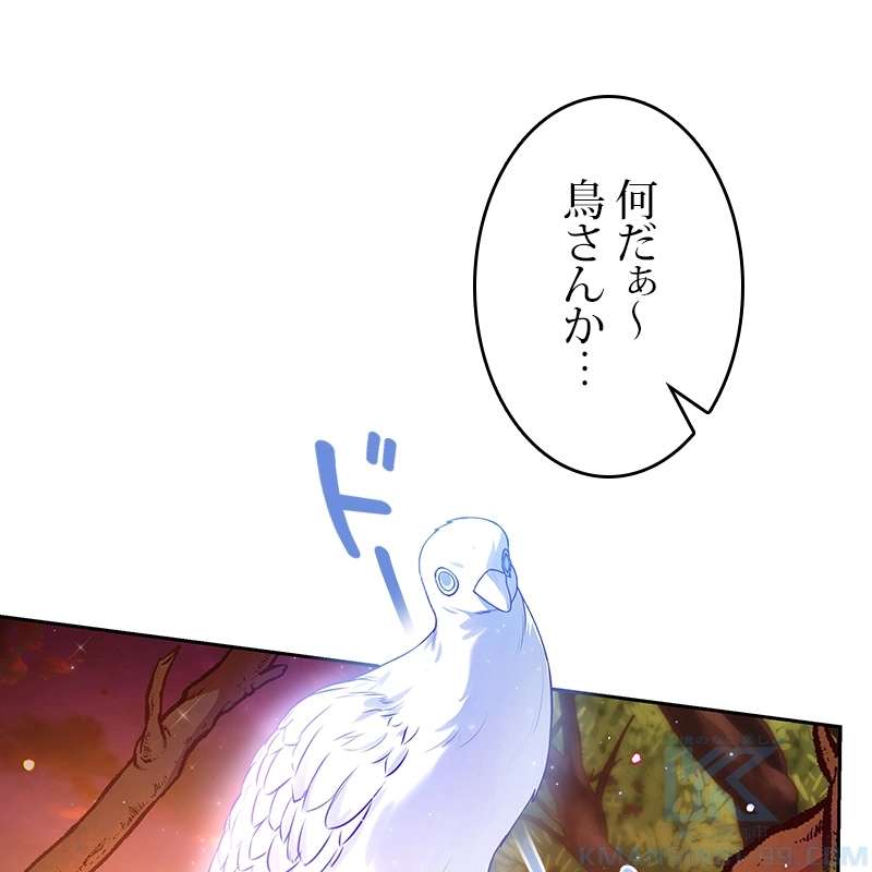 P55