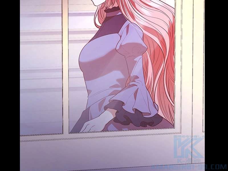 P61