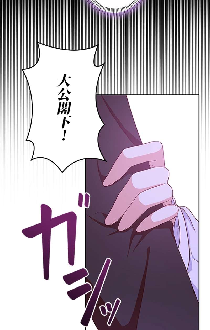 P41
