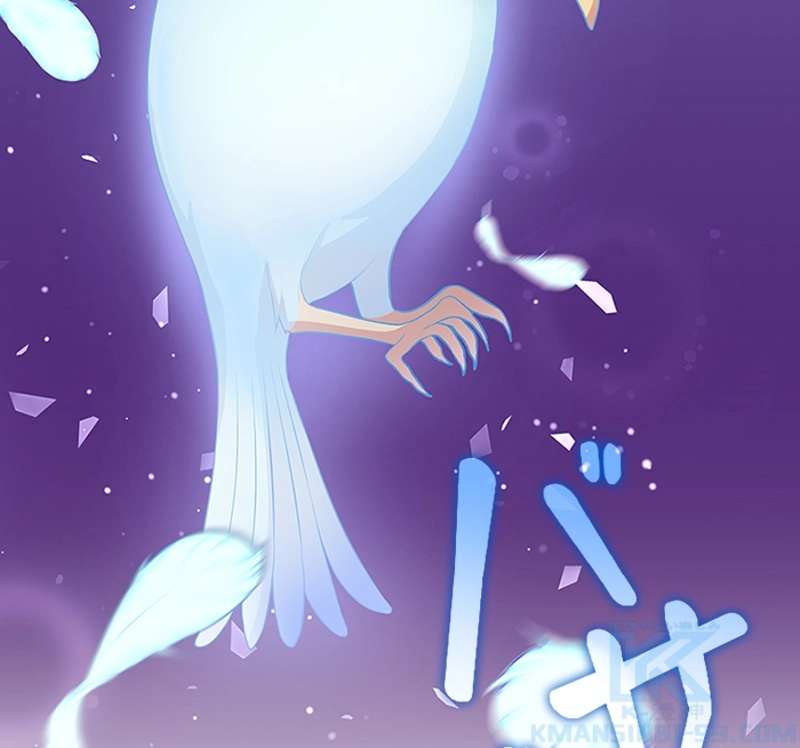 P55