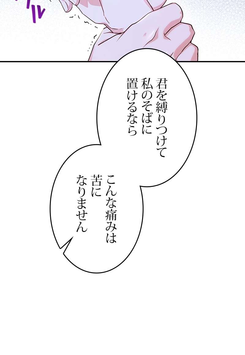 P61