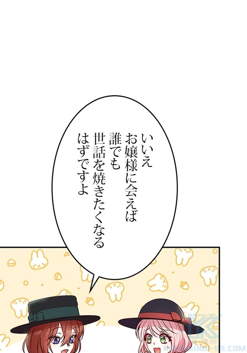 P53