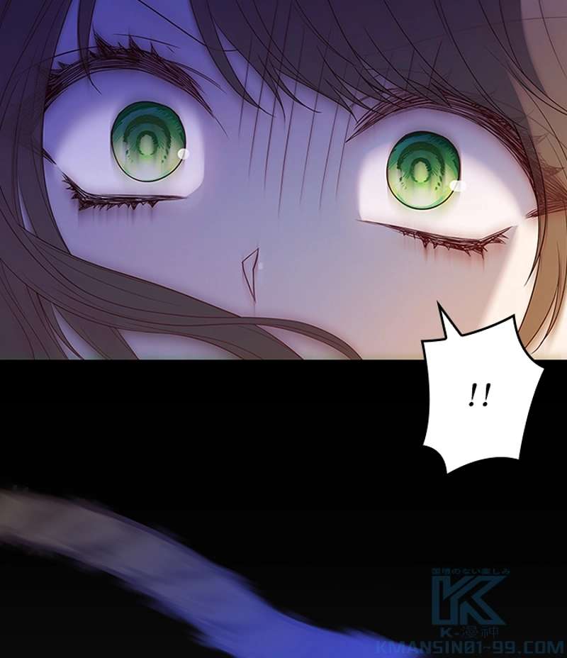 P53