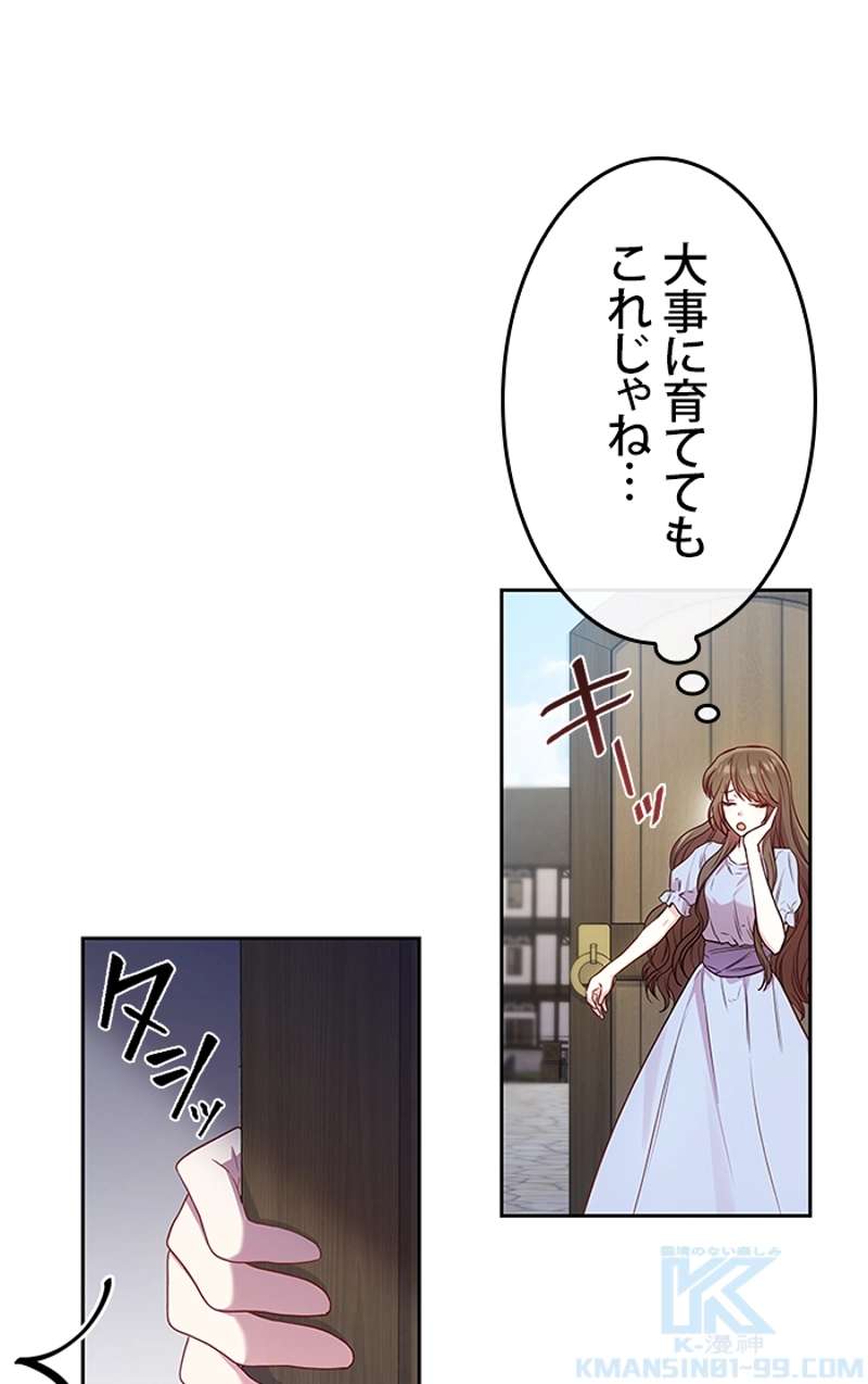 P53