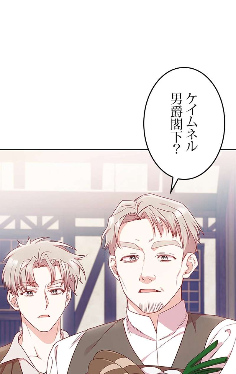 P81