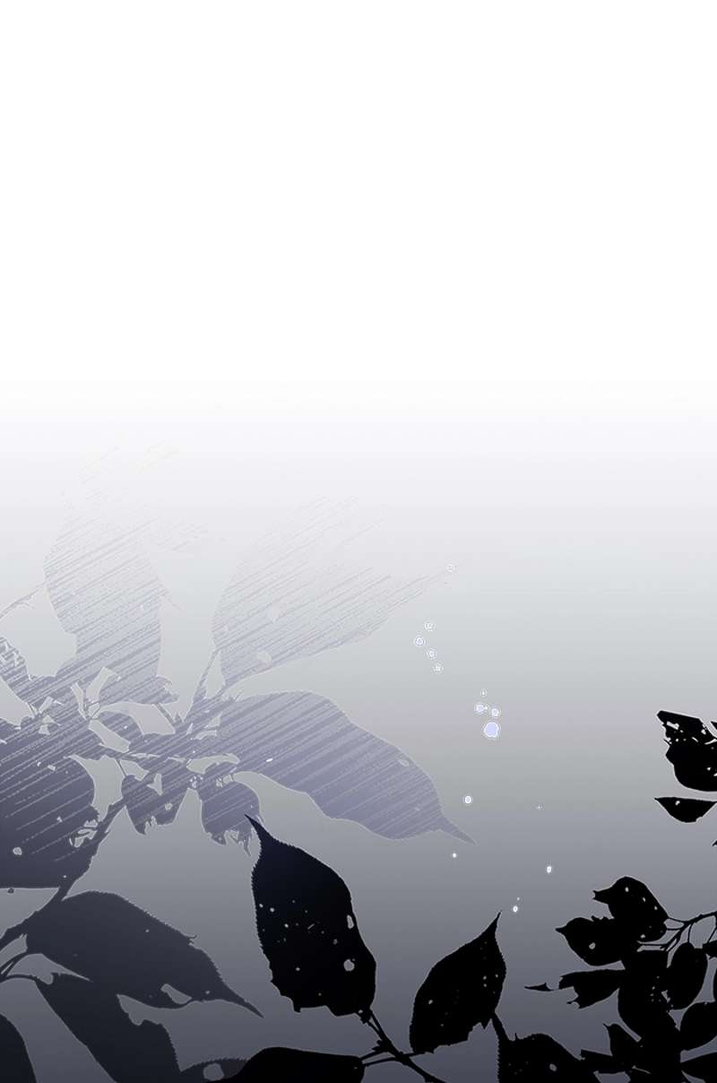 P113