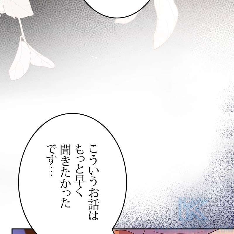P58