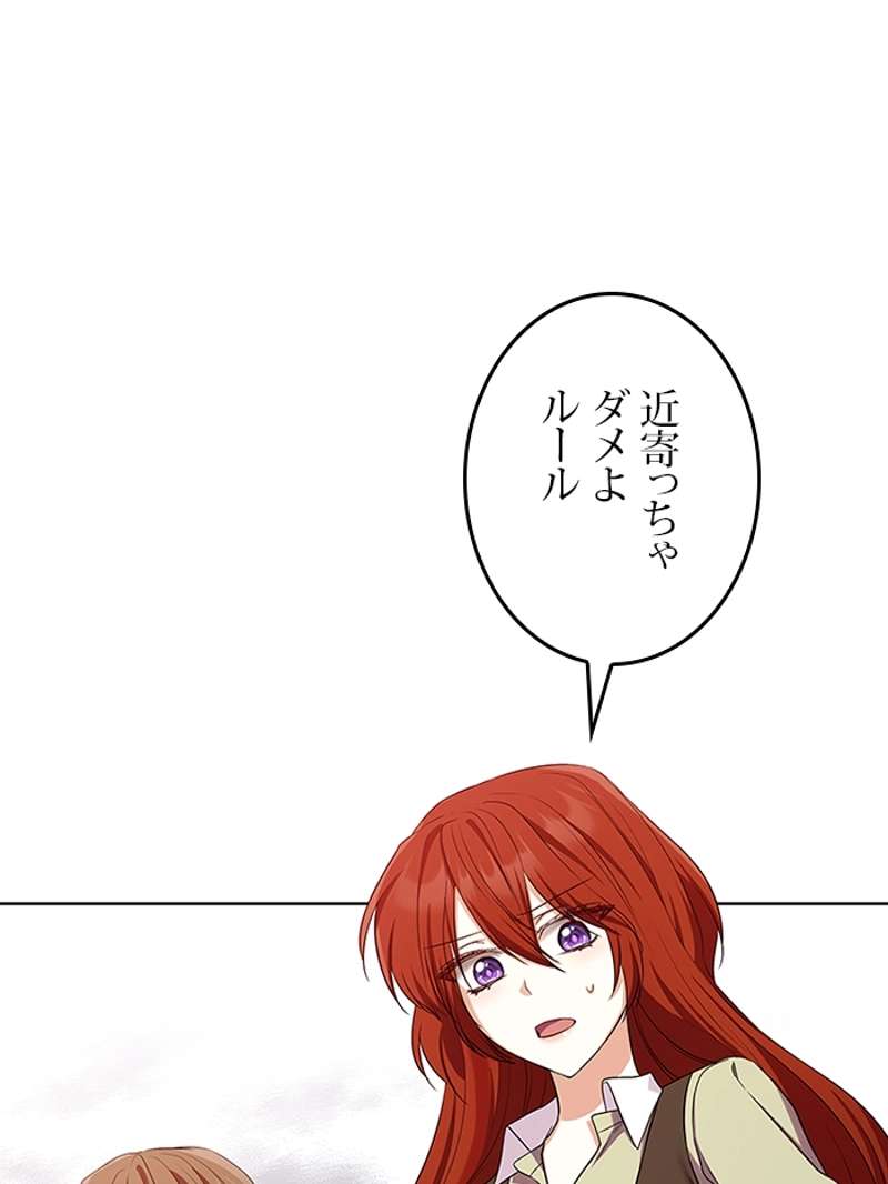 P63