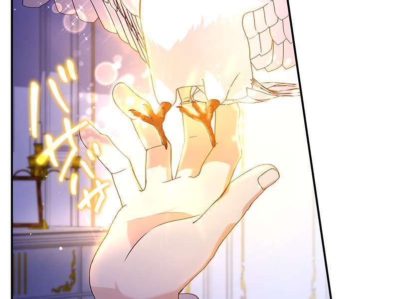 P68